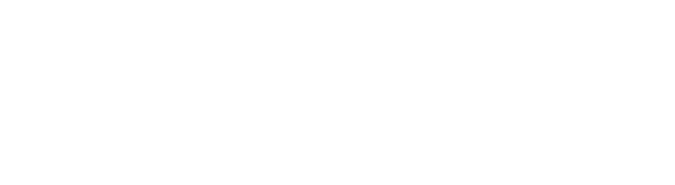 Vailmora logo